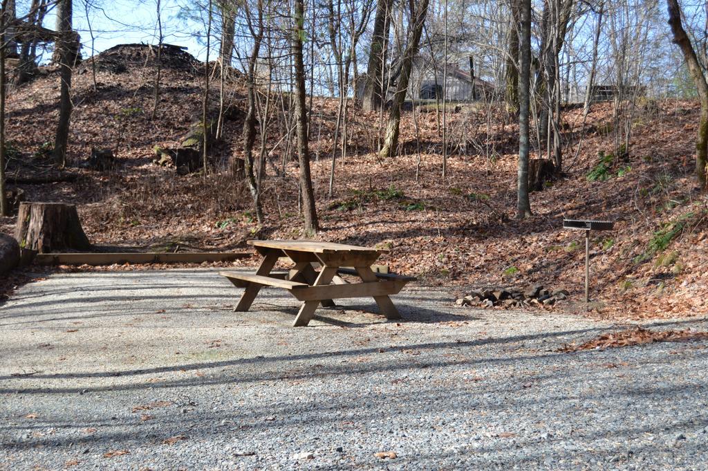Linville Falls Campground, Rv Park, And Cabins 外观 照片