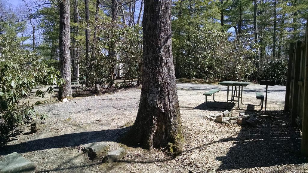Linville Falls Campground, Rv Park, And Cabins 外观 照片